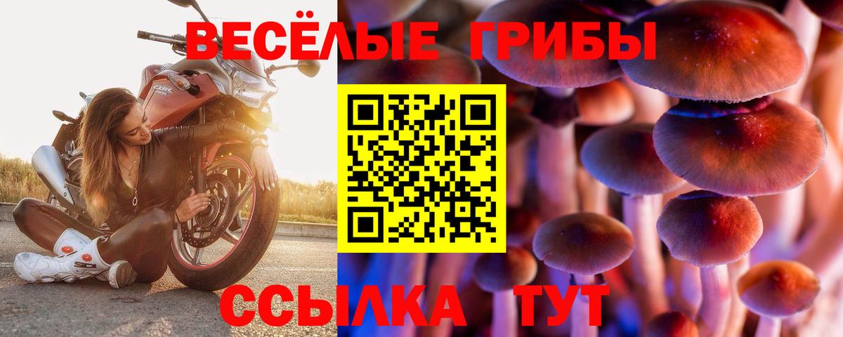 Галлюциногенные грибы ЛСД  Вход с VPN  Алапаевск  Псилоцибиновые грибы Cubensis 